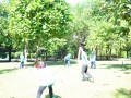 Tn DSC 2030